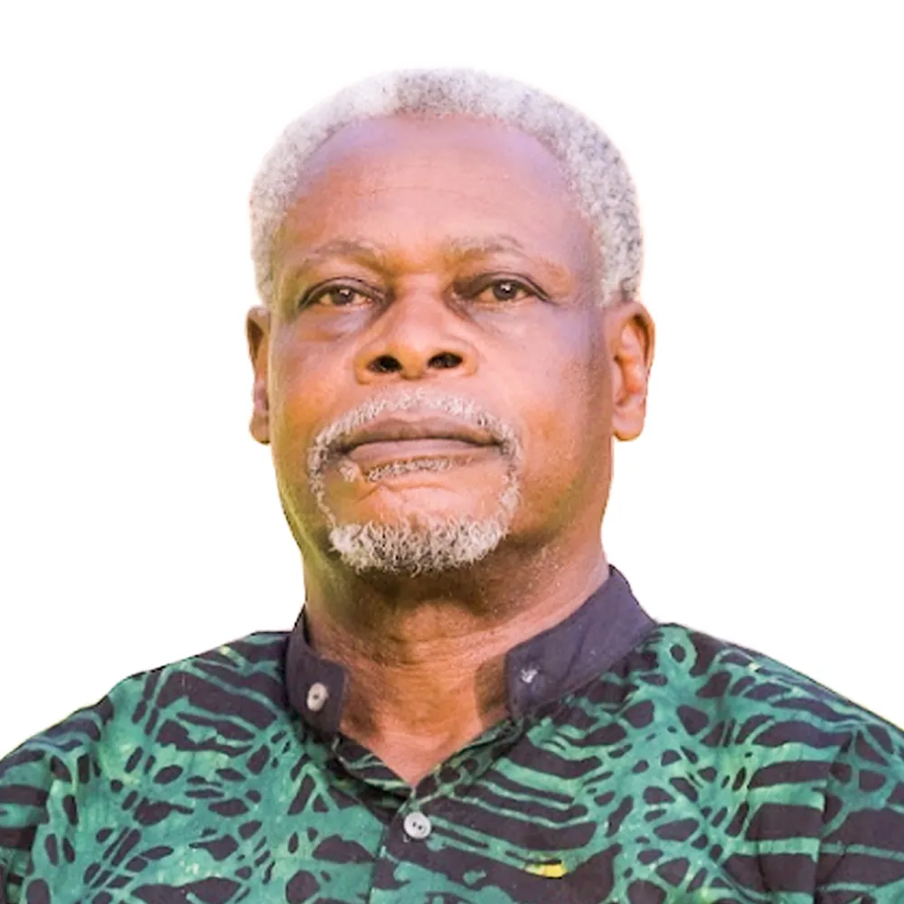 LEAP 2025 Awardee - Dr Mwalimu Musheshe